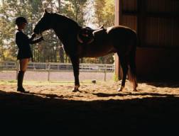 Poznaj potrzeby Twojego konia i postaw na głebokie porozumienie